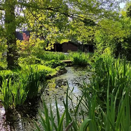 Hontsveld *